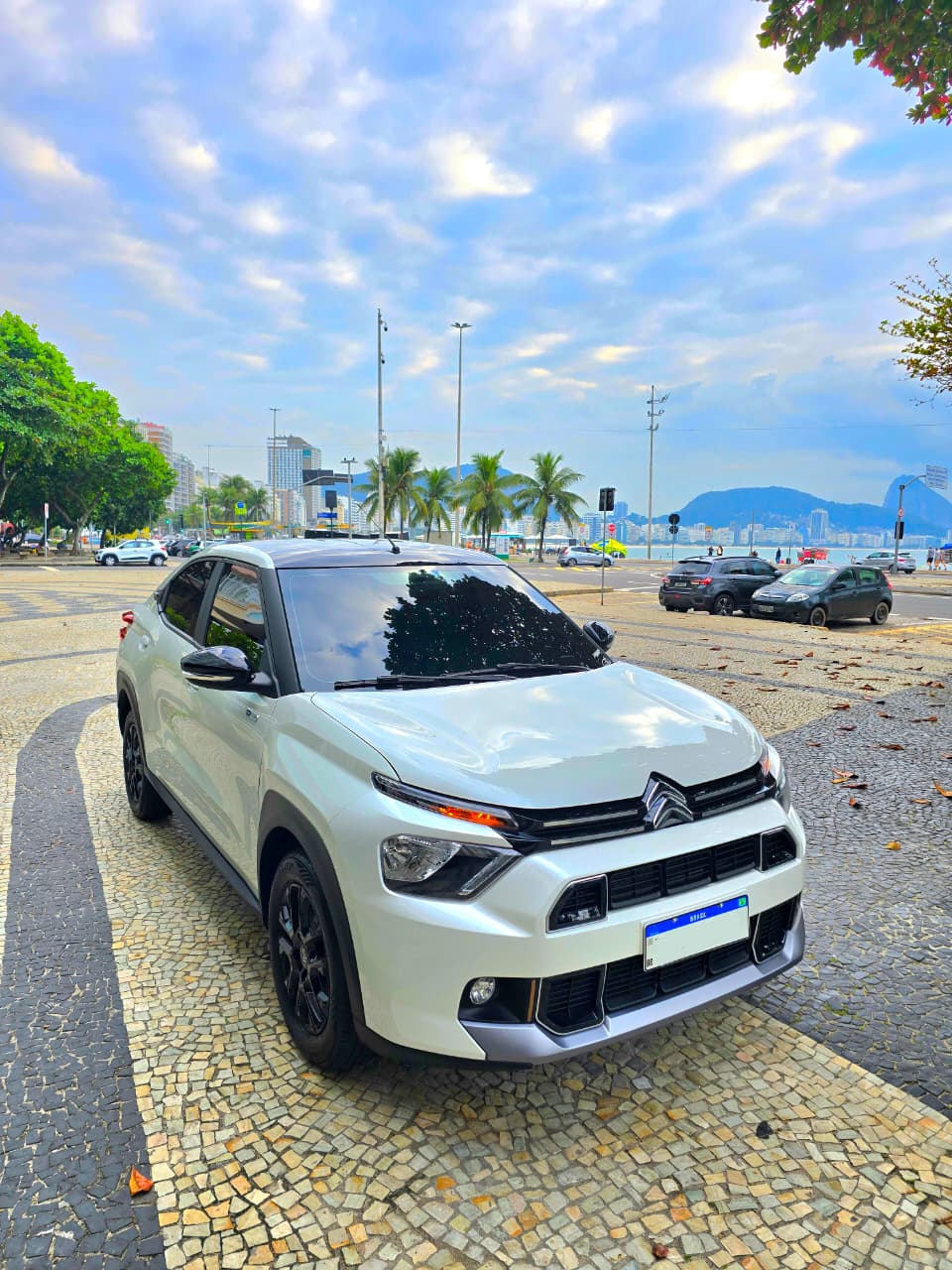 Frota NP Transporte Executivo